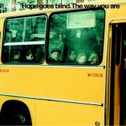 Alpha - hope goes blind - Don't Touch