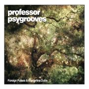 Professor Psygrooves - Foreign Pulses and Borderline Dubs - Jarring Effects
