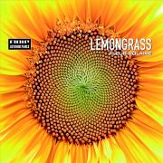 lemongrass - Fleur Solaire - Mole Listening Pearls